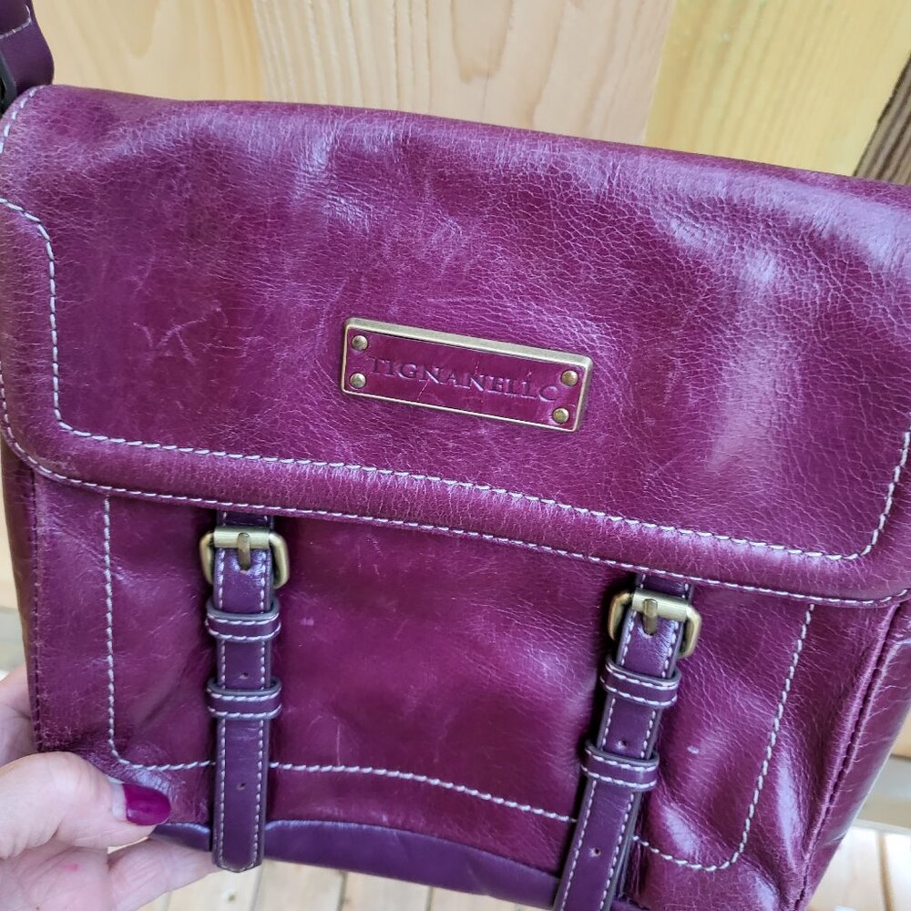 Tignanello Crossbody Bag